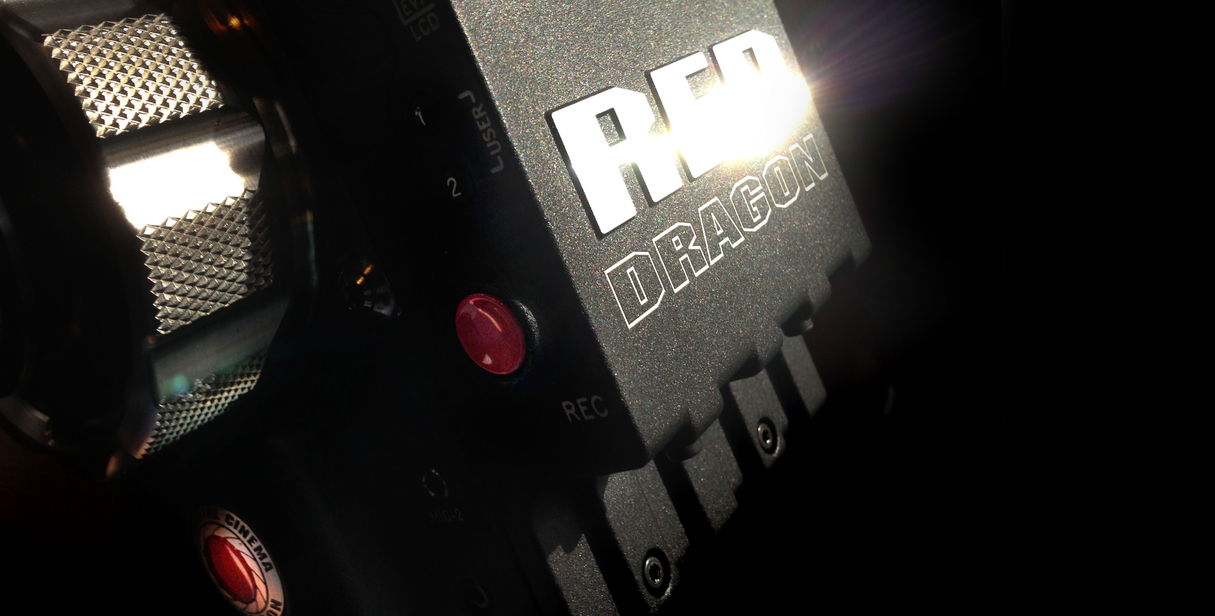 dragon_logo.jpg