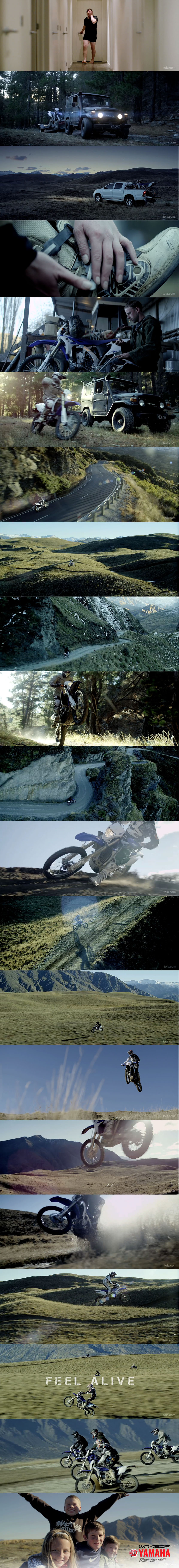 wr450_strip.jpg